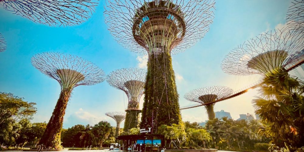 Gardens by The Bay Supertrees - The Social Kitchen