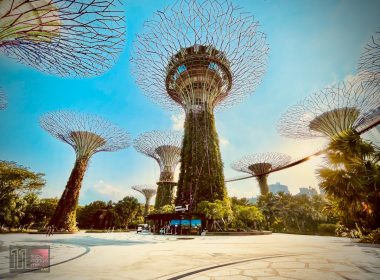 Gardens by The Bay Supertrees - The Social Kitchen