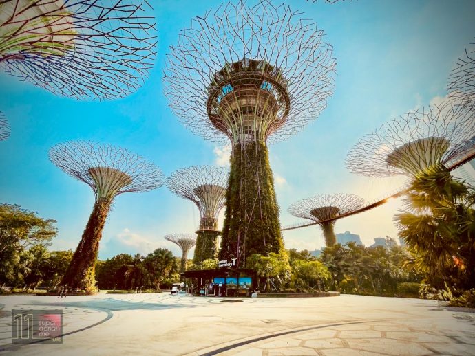 Gardens by The Bay Supertrees - The Social Kitchen