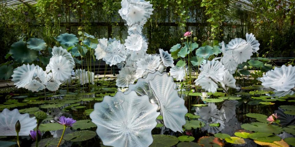 e Chihuly, Ethereal White Persian Pond (detail), 2018, 8 x 26 x 20' Royal Botanic Gardens, Kew, London, installed 2019, © Chihuly Studio. All Rights Reserved.