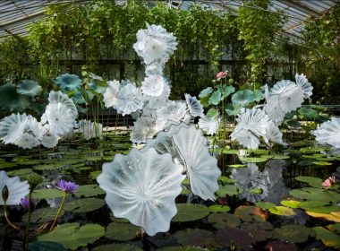 e Chihuly, Ethereal White Persian Pond (detail), 2018, 8 x 26 x 20' Royal Botanic Gardens, Kew, London, installed 2019, © Chihuly Studio. All Rights Reserved.