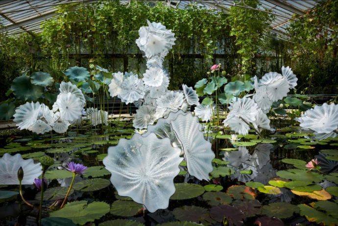 e Chihuly, Ethereal White Persian Pond (detail), 2018, 8 x 26 x 20' Royal Botanic Gardens, Kew, London, installed 2019, © Chihuly Studio. All Rights Reserved.