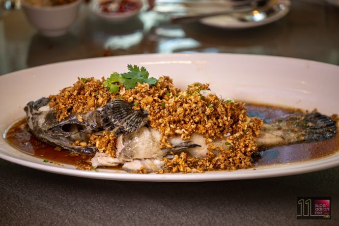 Seafood Paradise - Steamed Dragon Tiger Grouper with Preserved Turnip