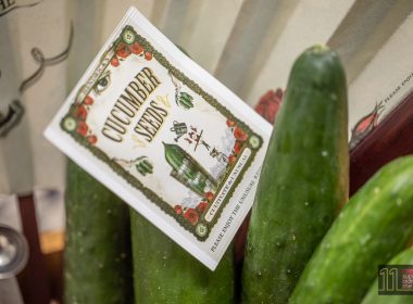 World Cucumber Day - Cucumber Seeds