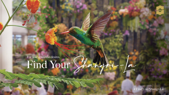 hi-res-JPG-Hummingbird-Horizontal-1 | SUPERADRIANME.com
